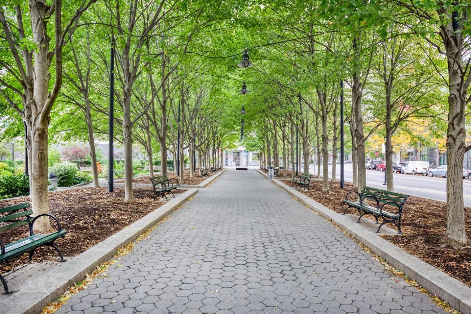 Fidi 2Br W Elevator Gym Doorman Nr Wall St Nyc-661 New York Apartman